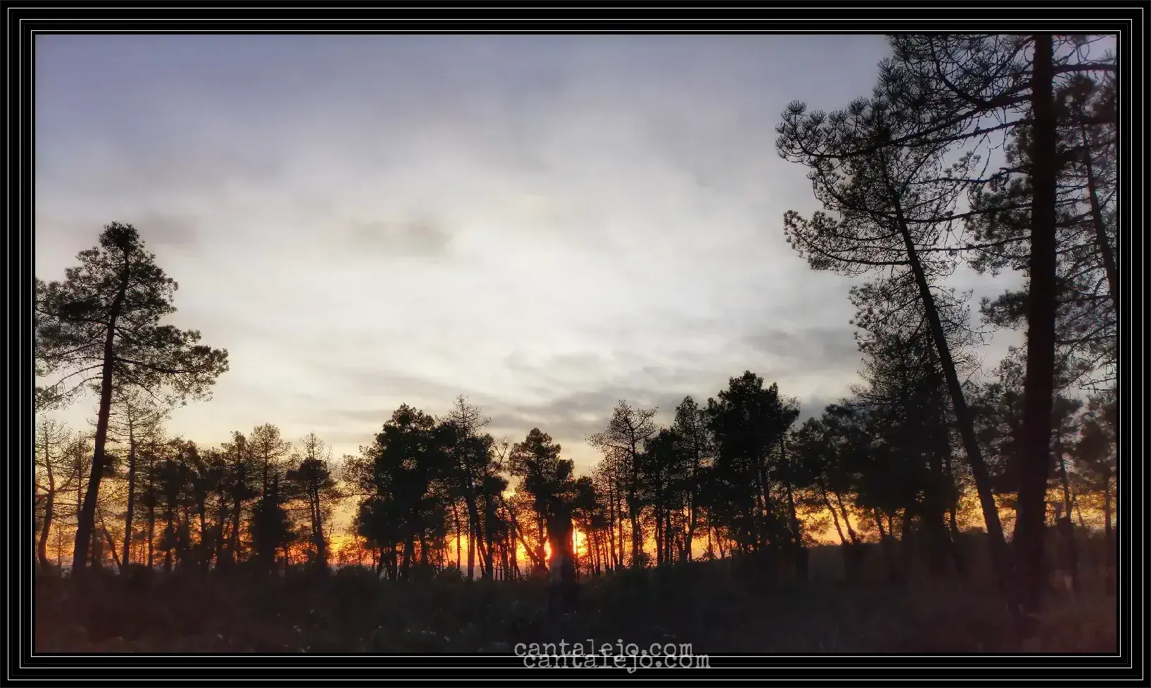 Atardecer Pinos Lagunas