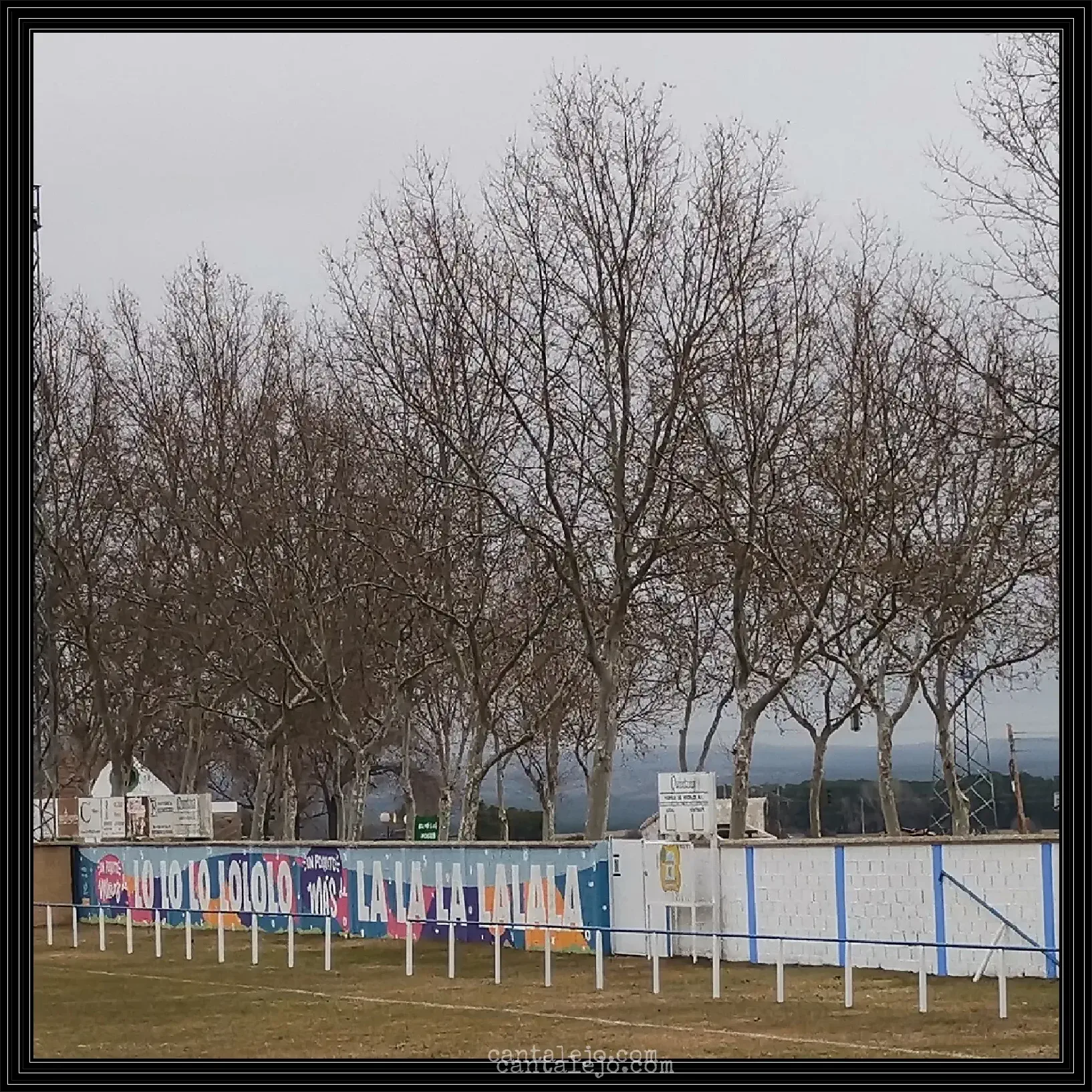 Campo De Futbol El Hoyal