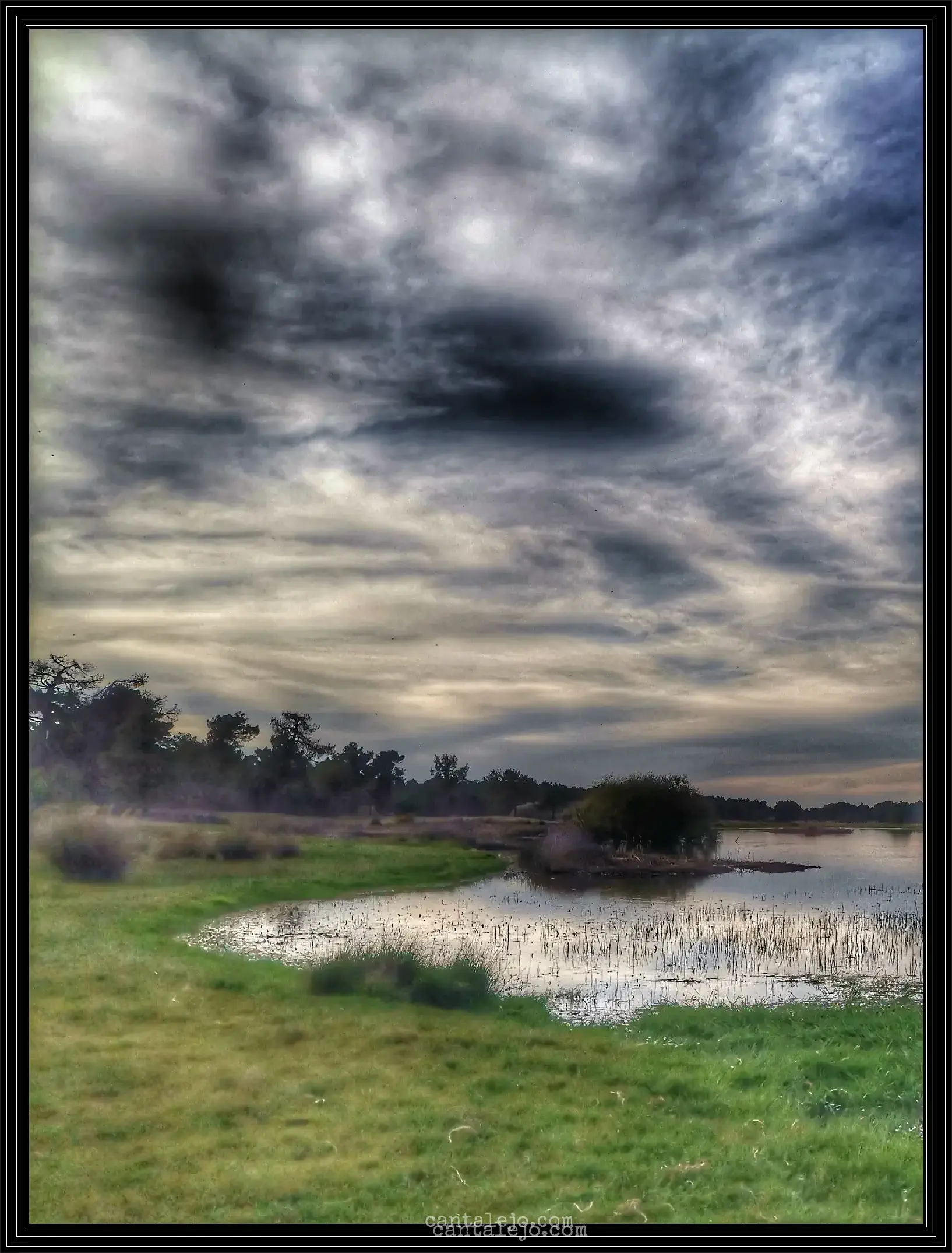 Laguna 7