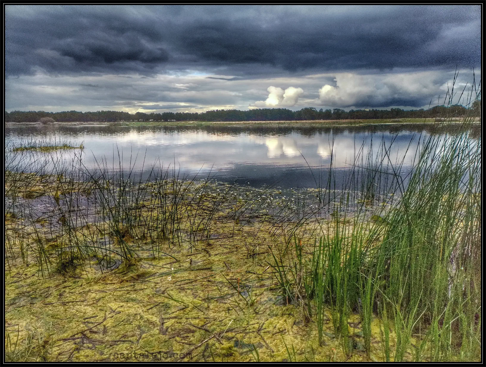 Lagunas De Cantalejo