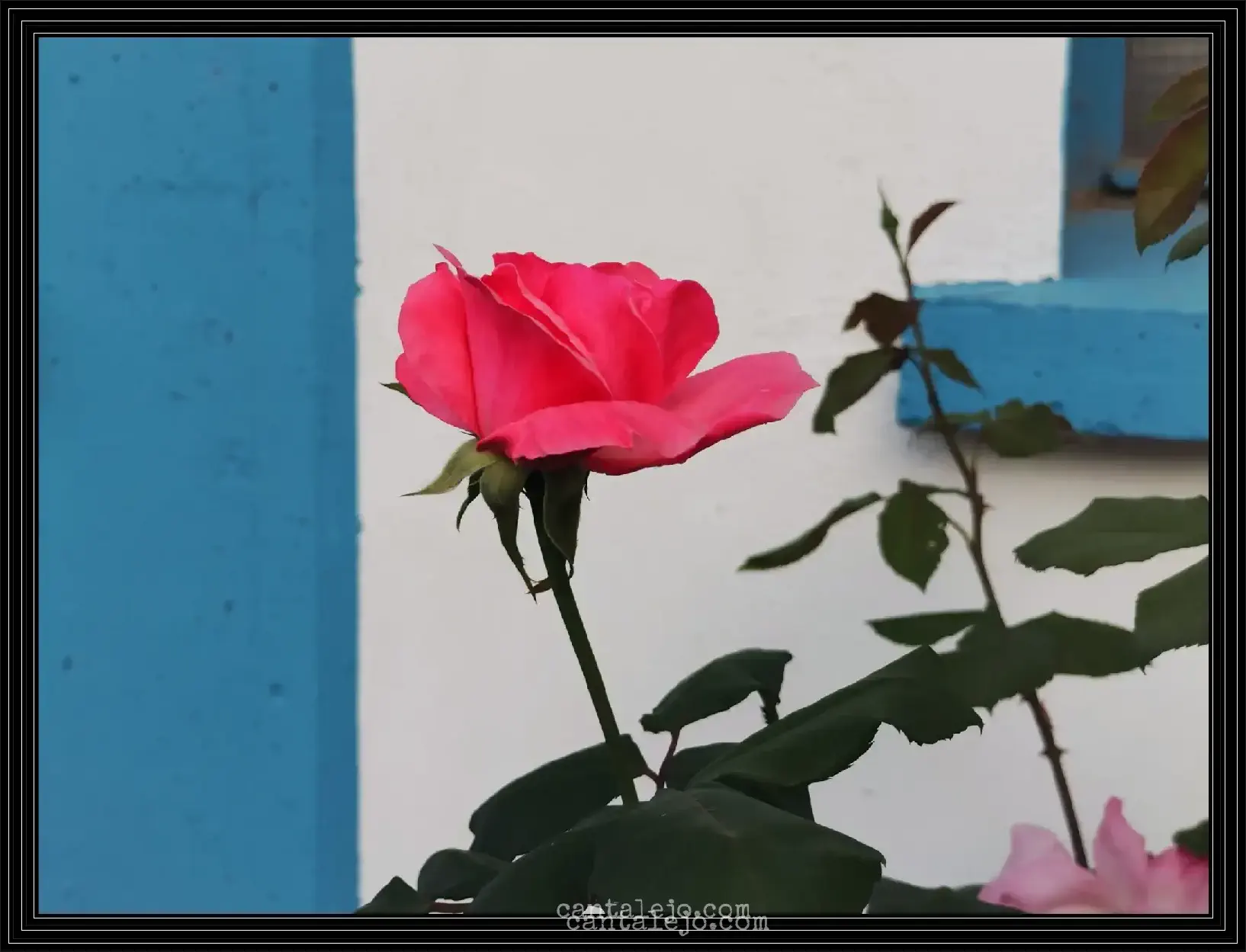 Piscinas Municipales Rosas