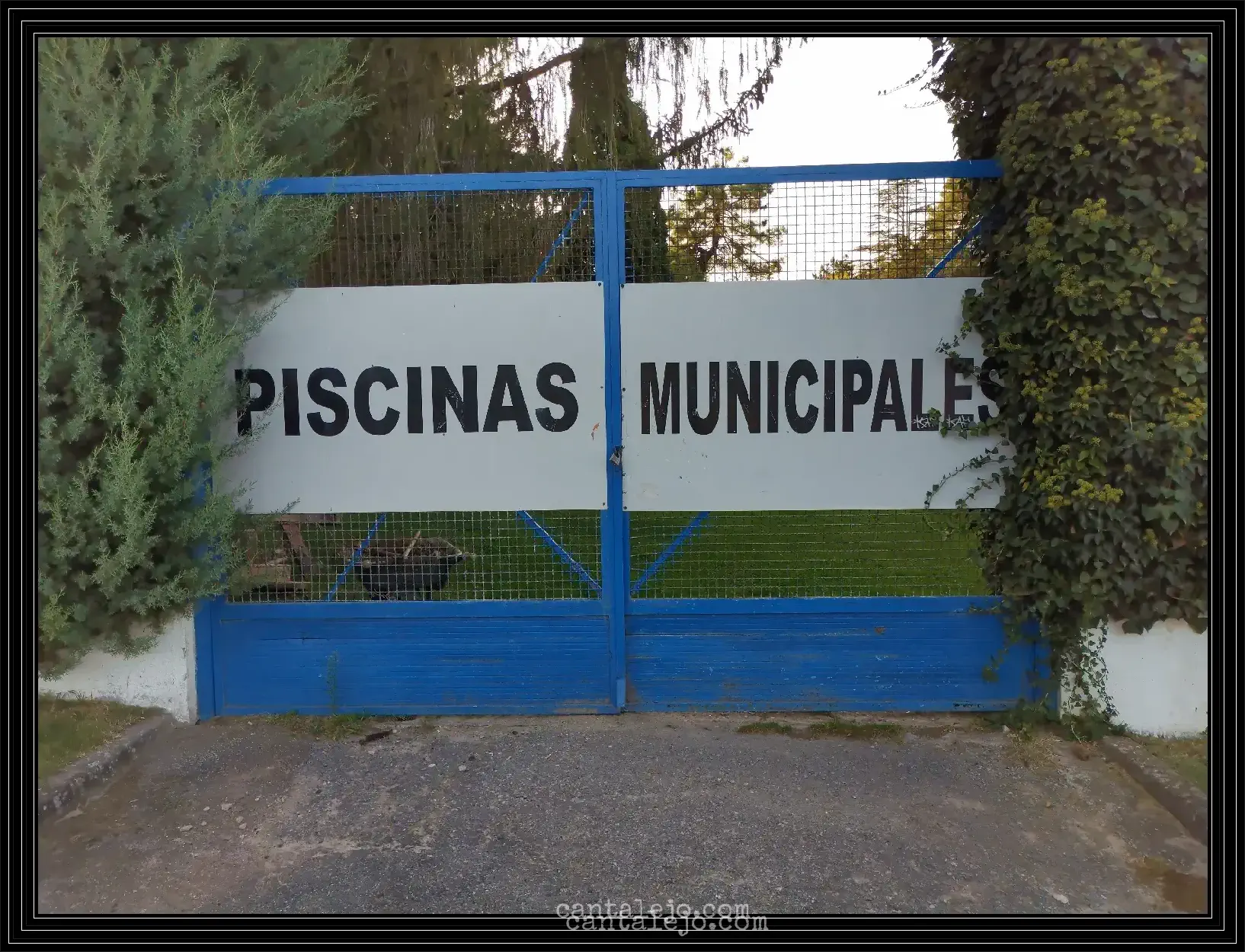 Piscinas Municpales Entrada